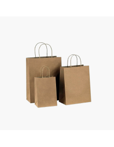 Kraft Takeaway Paper Bags with Twisted Handle