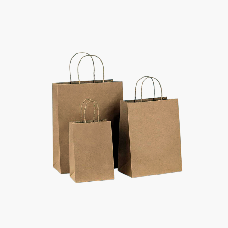 Kraft Takeaway Paper Bags with Twisted Handle